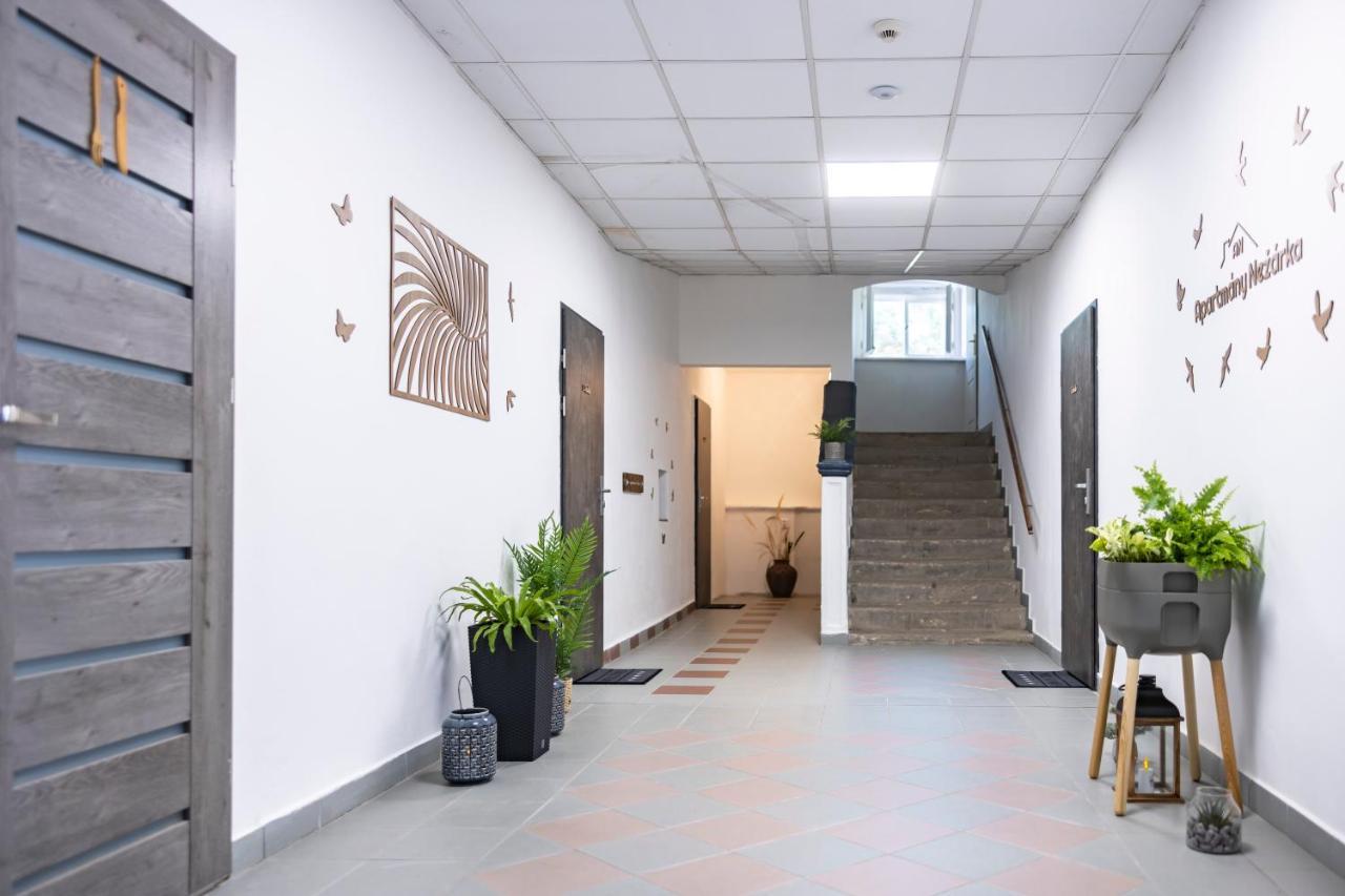 Apartmany Nezarka A Privatni Wellness Jindřichŭv Hradec Exterior foto