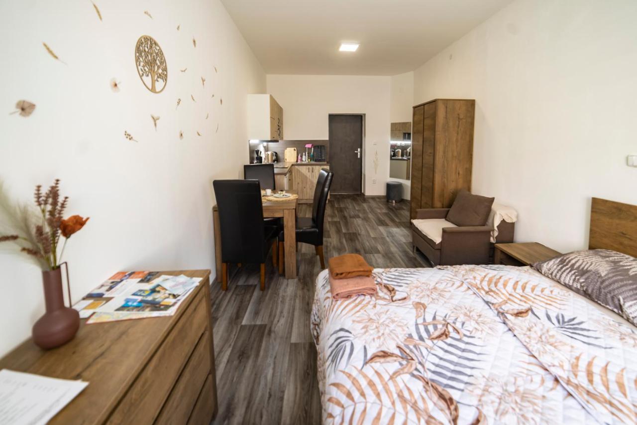 Apartmany Nezarka A Privatni Wellness Jindřichŭv Hradec Exterior foto